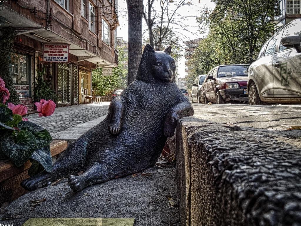 អត្ថប្រយោជន៍ដែលមិនគួរឱ្យភ្លេចសម្រាប់សមាជិក