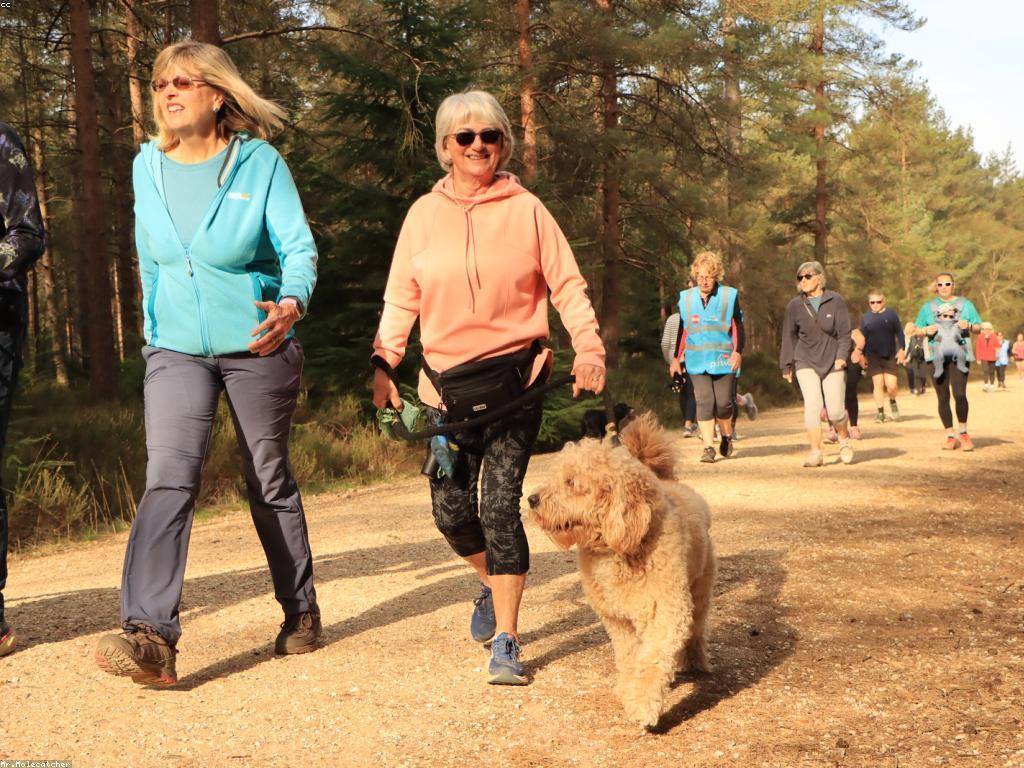 ការស្ទង់មតិអំពីព្រឹត្តិការណ៍នានា