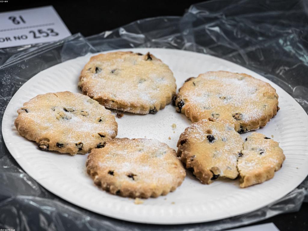 សិល្បៈនៃការបង្ហាញស្លុត